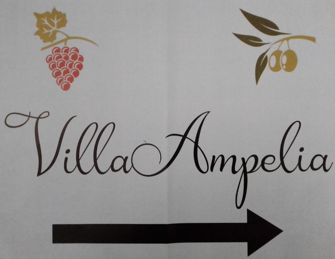 Ampelia Sitía