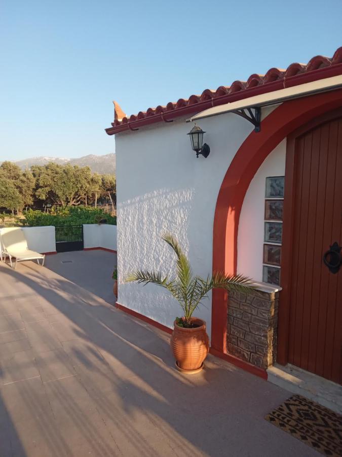 Apartment Ampelia *