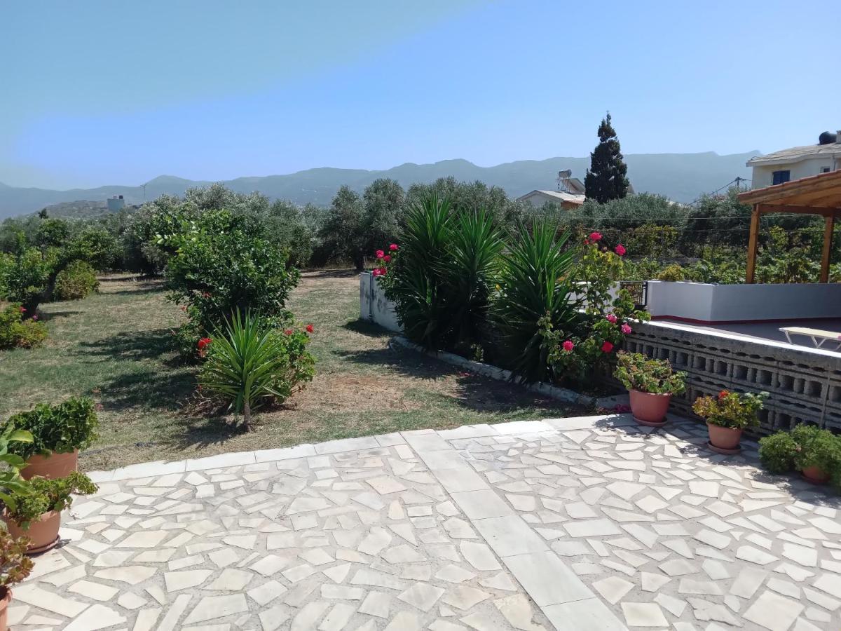 Apartment Ampelia *
