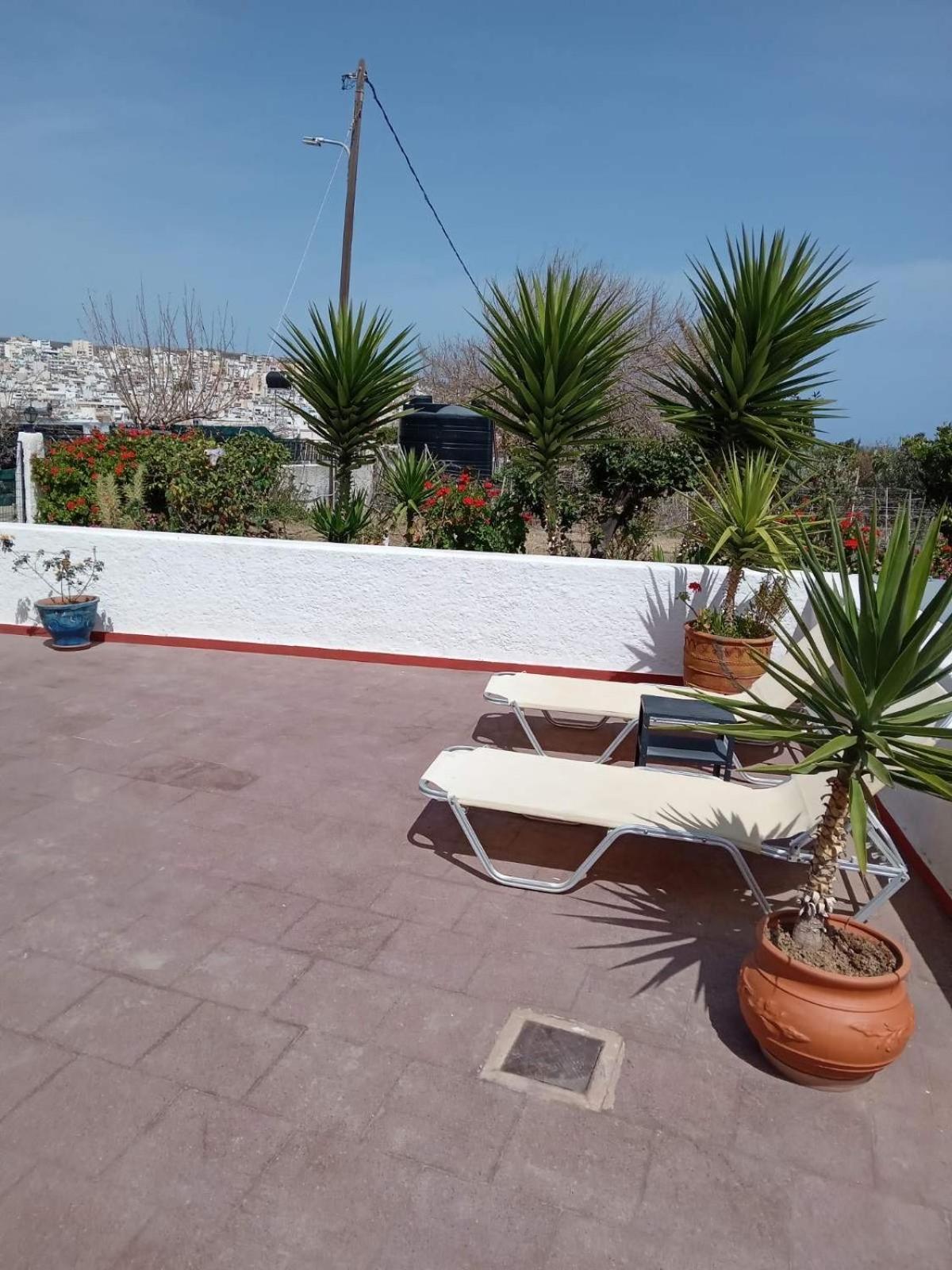 Ampelia * Sitia (Crete)